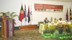 13120672 217151848676758 669579331 o 300x168 Technical Scientific Meeting of CPLP’s Civil Engineering Laboratories in Dili