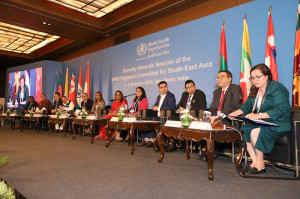 462390976 855032303420165 2814121614504424587 n 300x199 Timor Leste Celebrates Elimination of Lymphatic Filariasis in Discussion with Southeast Asian Countries at WHO