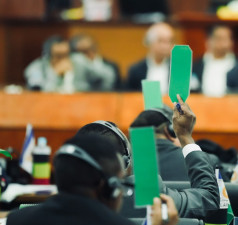 WhatsApp Image 2025-11-07 at 17.37.28