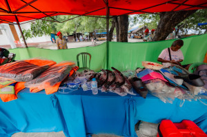 615457163_776414655501316_412453842622949275_n