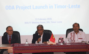 641084185_806968905776661_2944061258078493198_n