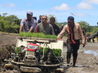 Governo promove mecanização agrícola e reforça produção de arroz em Aileu e Ainaro