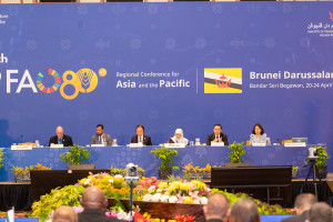 677811531_853238457816372_3128451434878489597_n