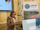 ver mais: Timor-Leste lidera diálogo de alto nível sobre adaptação climática e resiliência em Viena Timor-Leste lidera diálogo de alto nível sobre adaptação climática e resiliência em Viena