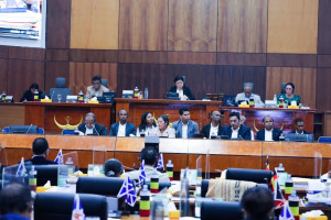 747178298 1359745299418384 3590085386665626546 n 300x200 National Parliament Approves the General Framework for the Financial System and Banking Activities