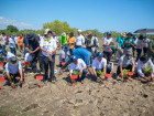 ver mais: Timor-Leste Reforça o seu Compromisso com a Conservação dos Mangais e a Restauração dos Ecossistemas Timor-Leste Reforça o seu Compromisso com a Conservação dos Mangais e a Restauração dos Ecossistemas